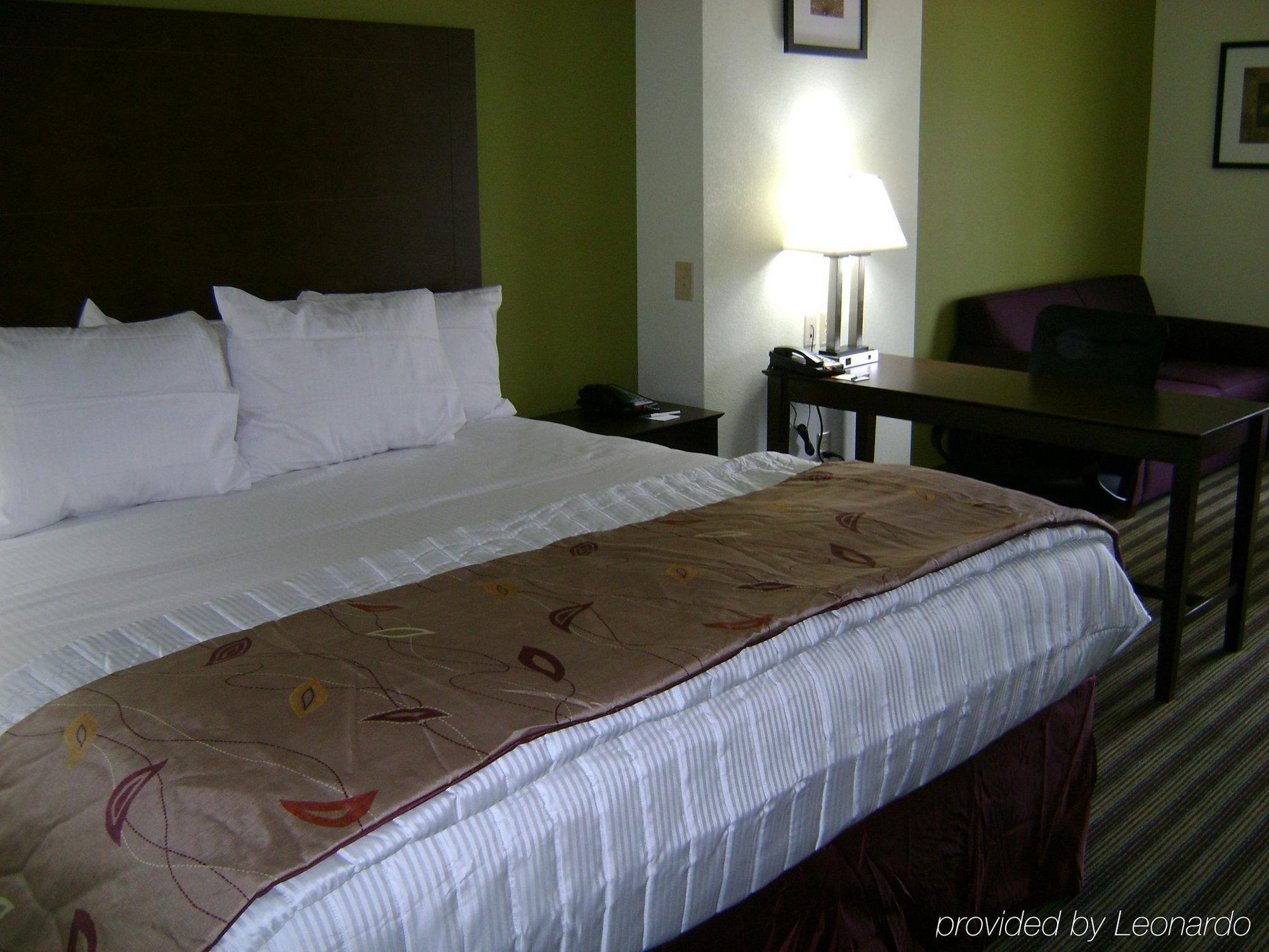La Quinta By Wyndham Baton Rouge Denham Springs Hotel Room photo